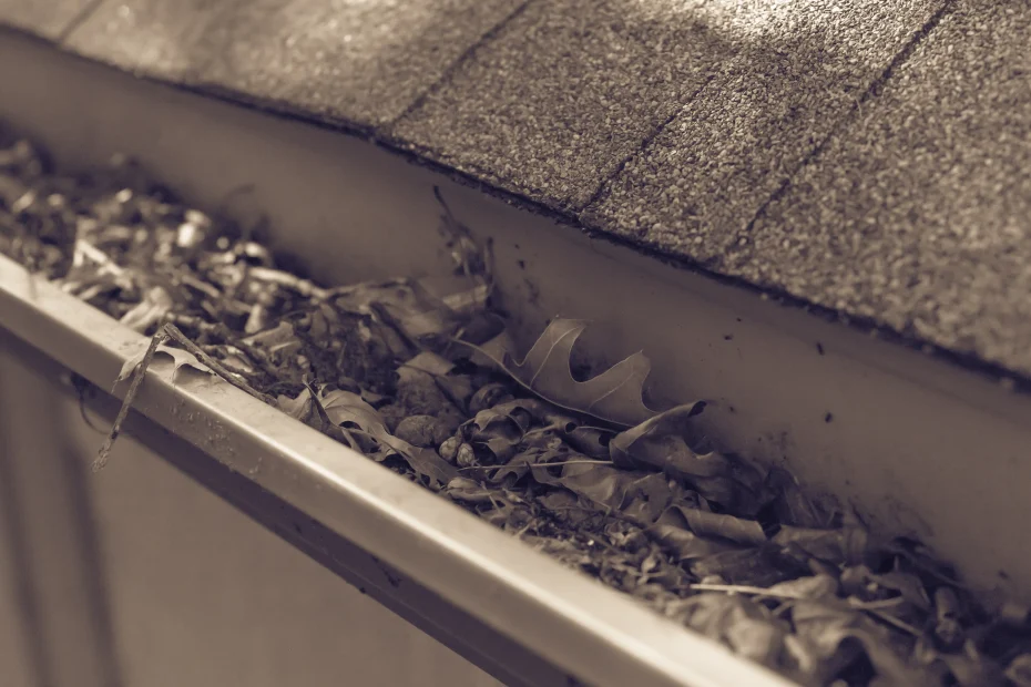Hedwig Village Gutter Cleaning