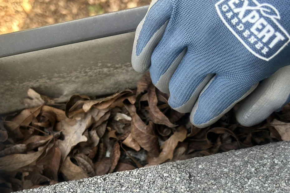 Hedwig Village Gutter Cleaning