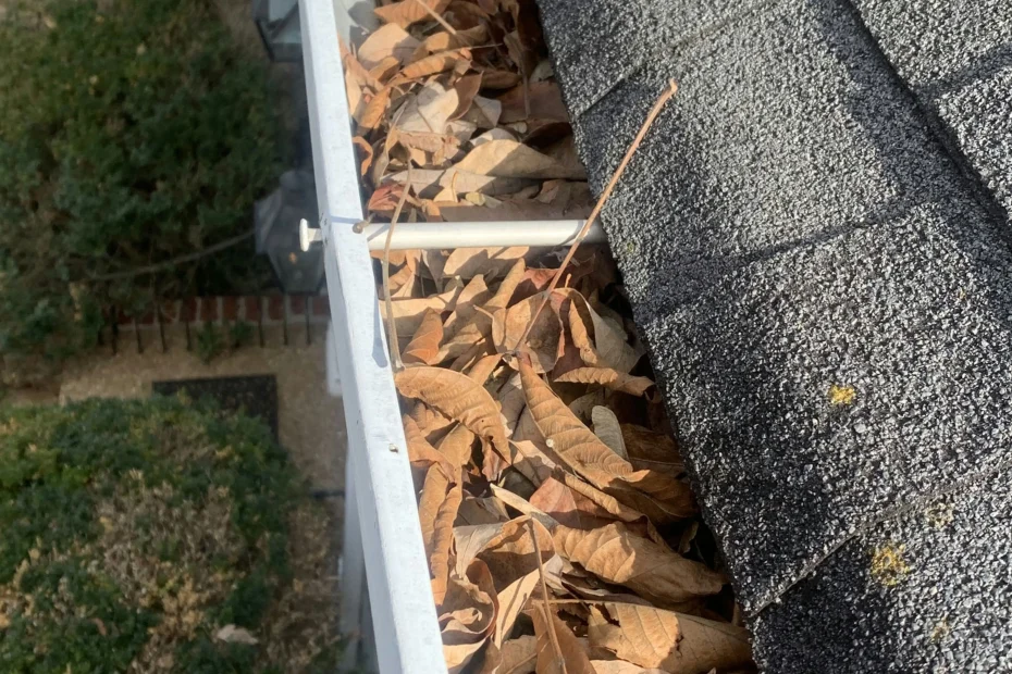 Hedwig Village Gutter Cleaning
