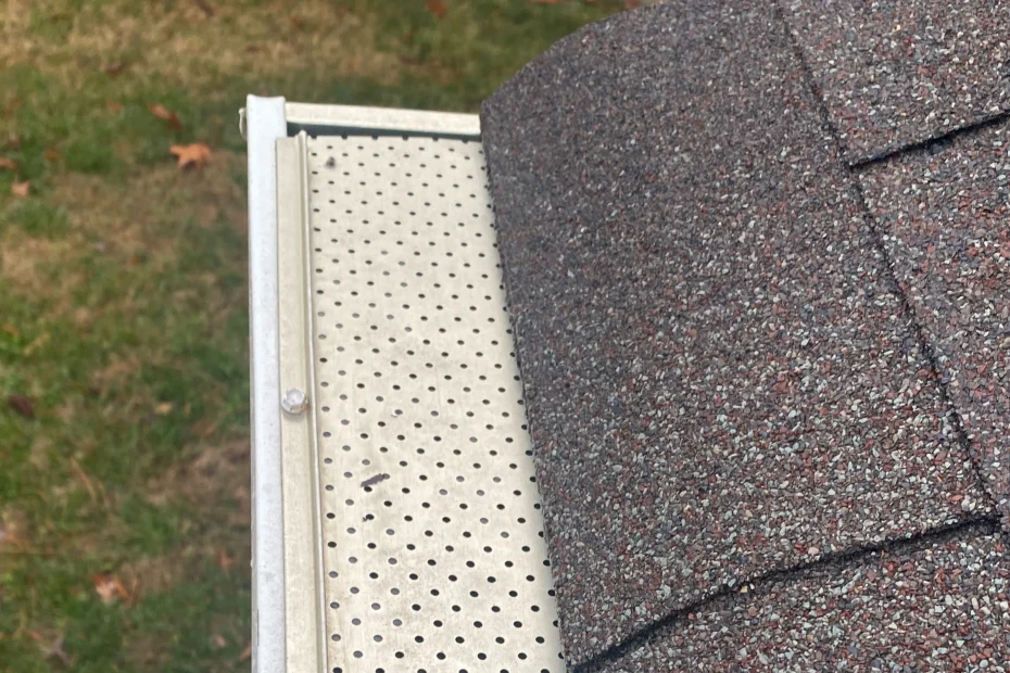 Hedwig Village Gutter Cleaning